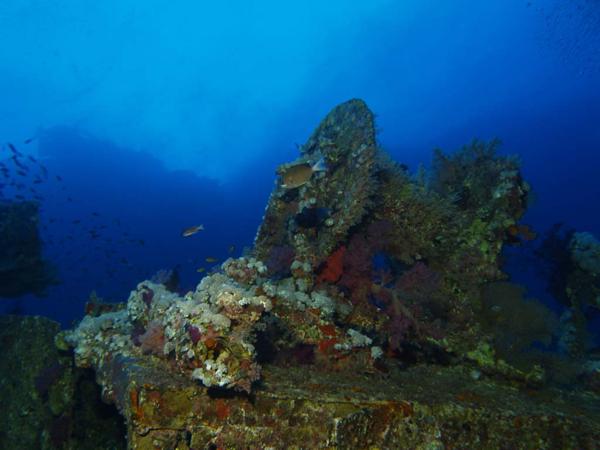 Rotes Meer Aida Winsch