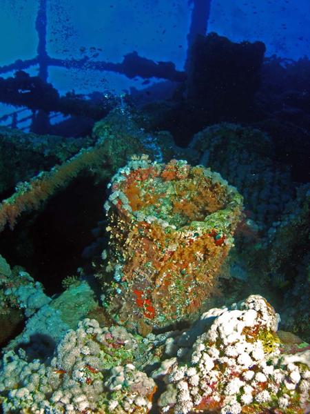 Rotes Meer Numidia